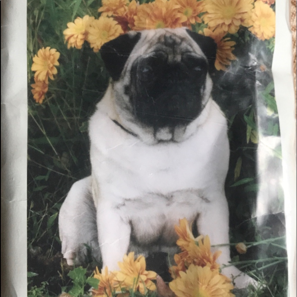 Pug Garden Flag 28x40